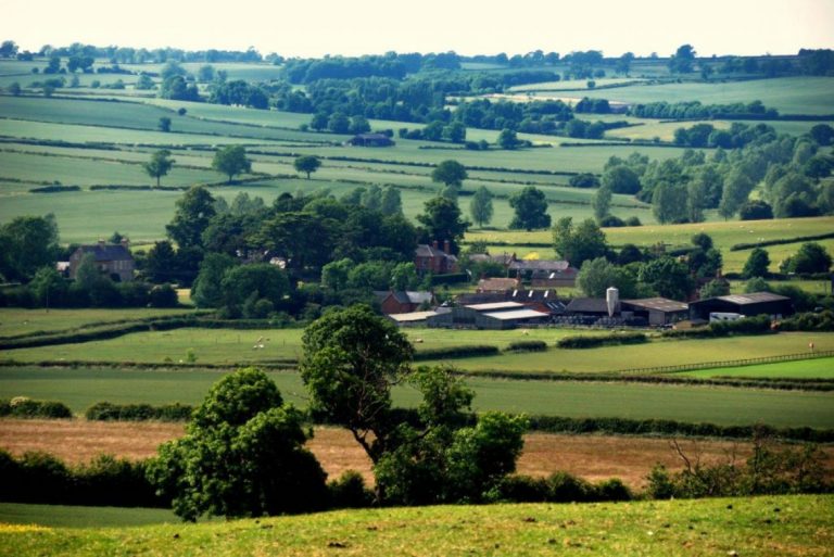 Countryside Countryside