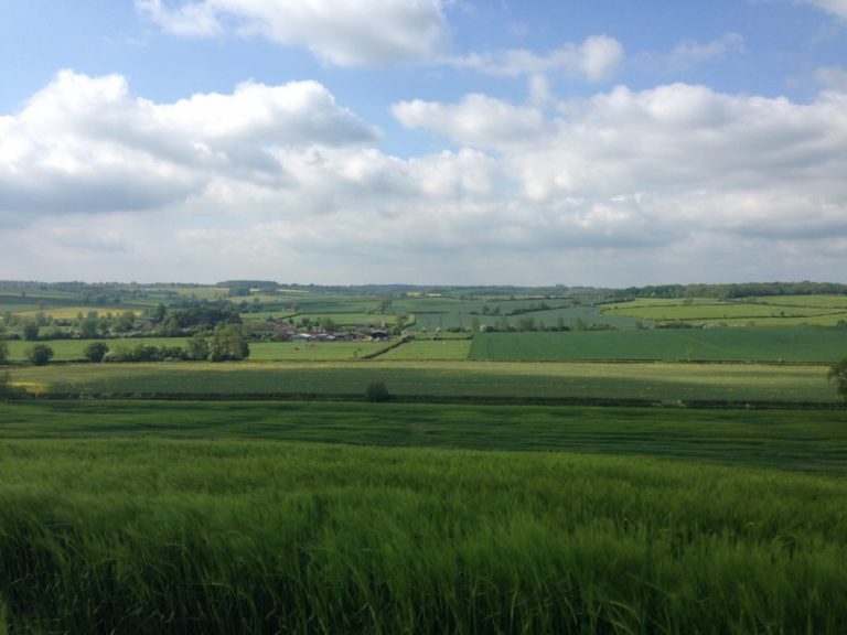 Peaceful location Peaceful location