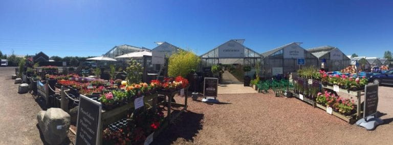 11011463 952797751449221 8283779818617101280 n 768x285