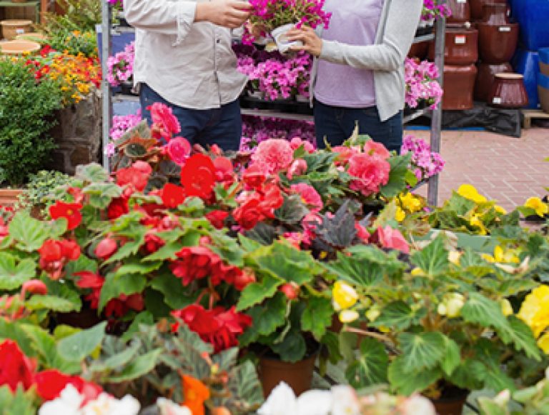 Garden Centre Garden Centre