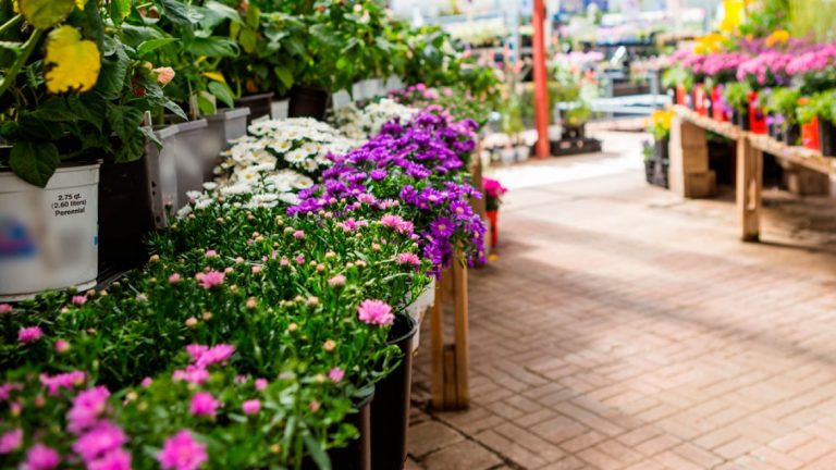 Garden Centre Garden Centre