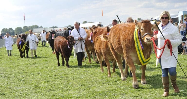 Leicester County Show 2017 510 1 e1523288564321 1 768x407