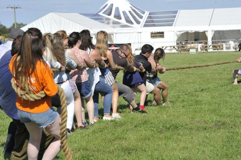 Leicester County Show a 2017 847 768x511