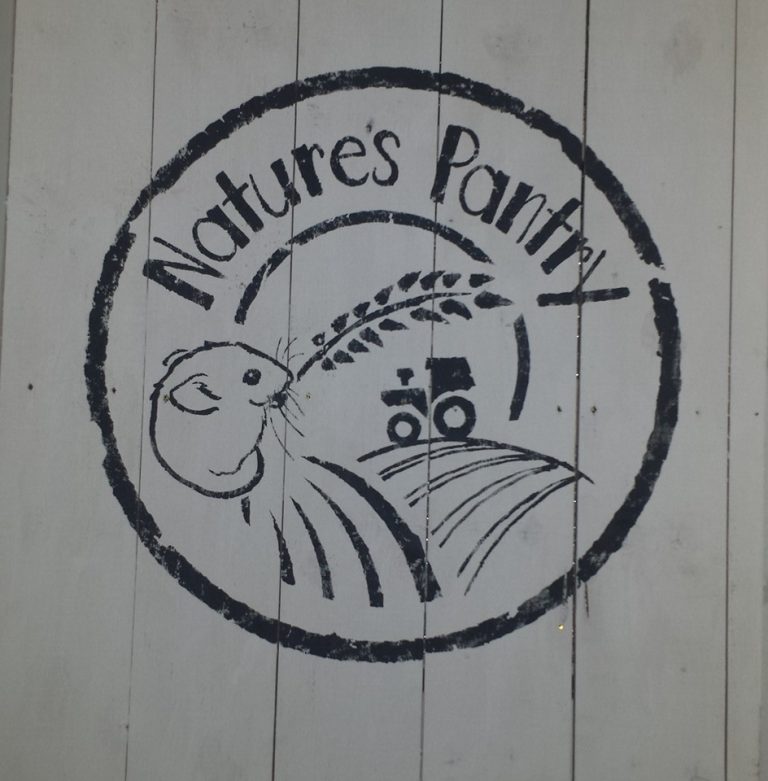 13434818 925413937569815 8697665181825001946 n 768x781