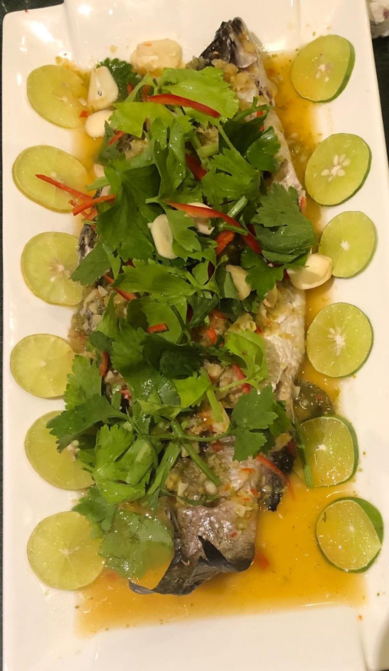 51047873 2073661286034639 6760648479501975552 o 768x1324