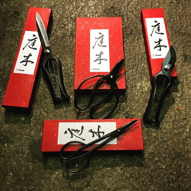 83910867 2226589760981241 1307681352514011136 o 768x768