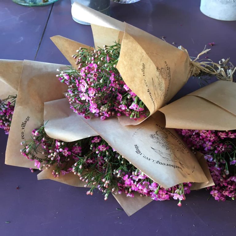 89218724 133396718219012 1042814748049014784 n 768x768