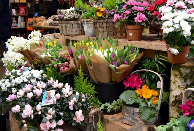 90106049 2915630831808365 5230044936912502784 o 1 768x519