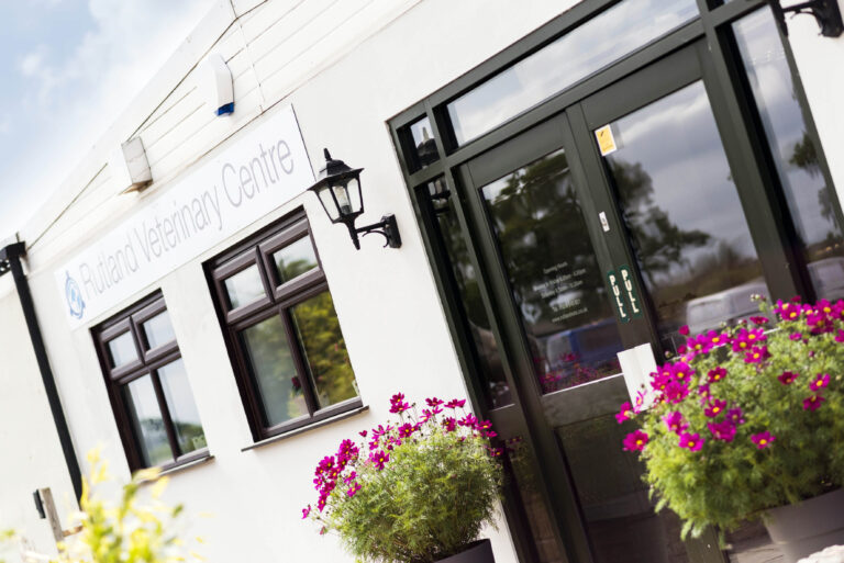 RutVets MH 005 768x513