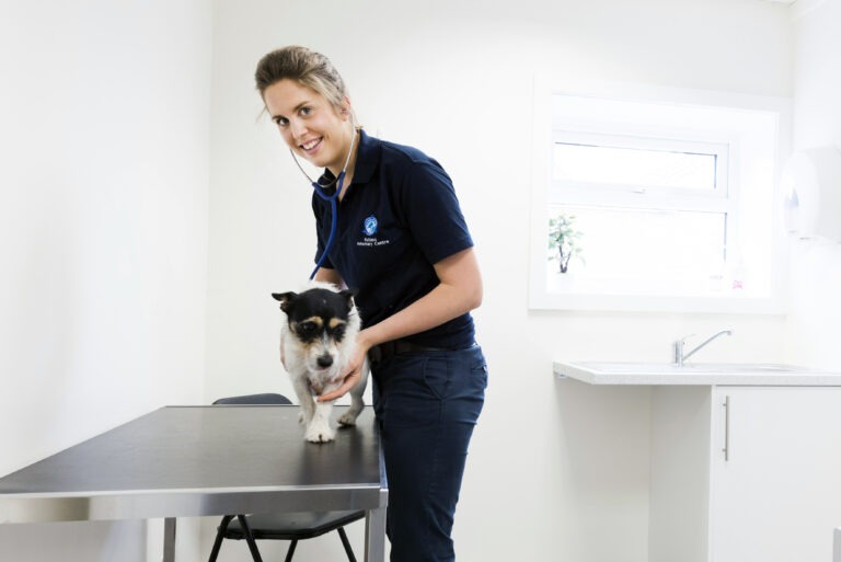 RutVets MH 016 768x513