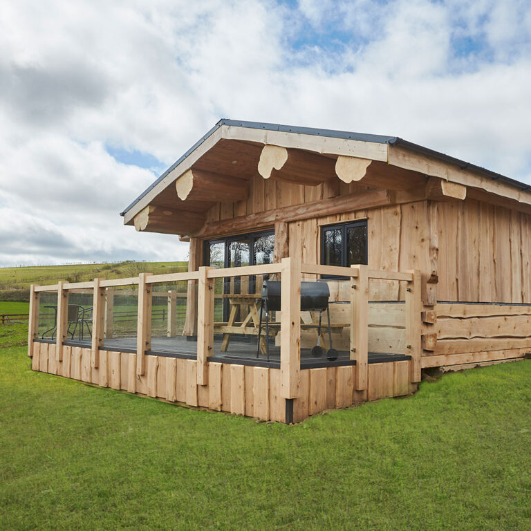 GW6R7689 crop 768x768