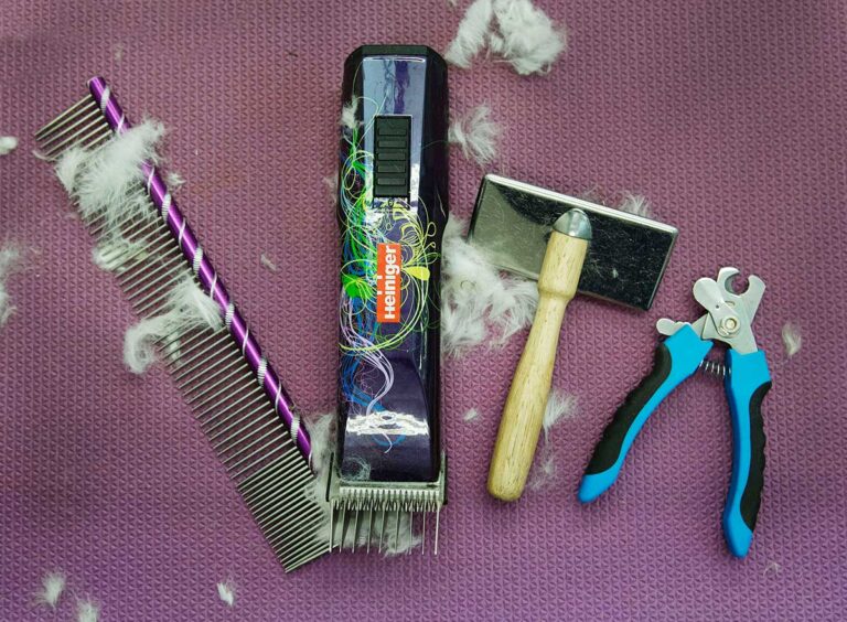 dog grooming tools 768x564