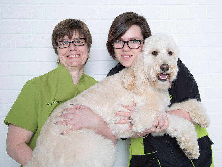 grrs2purrs staff and dog 768x578