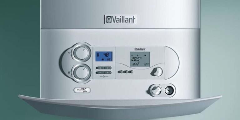 19702100 1373160249449363 2194289775549067819 n 960x480 1 768x384