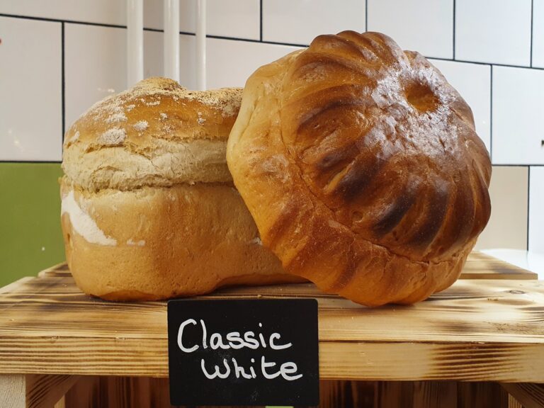 173874360 3882449381849040 1754163560407617160 n 768x576