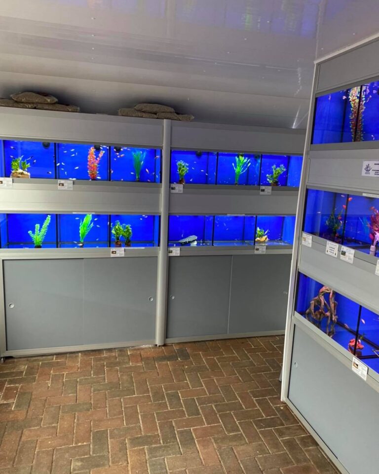 175067342 230255895507894 1094304696463121349 n 768x961