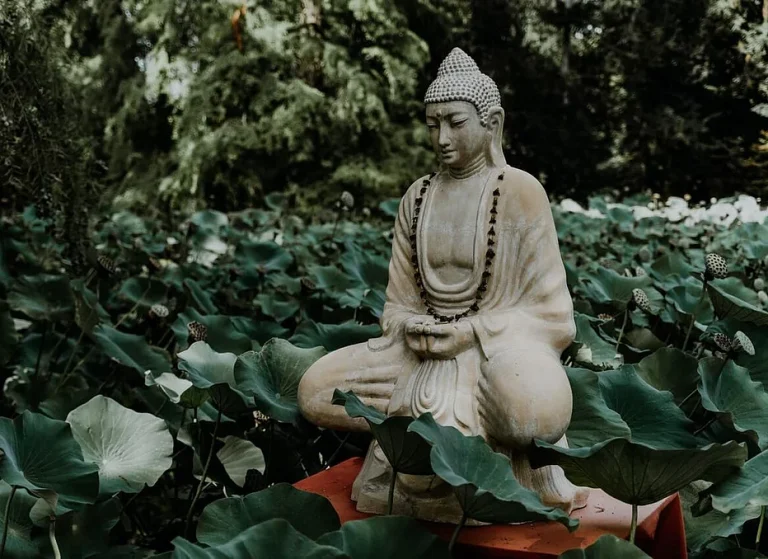 ddcef1 7904978d4a6f43dda91d4683b2e31edc mv2 768x559