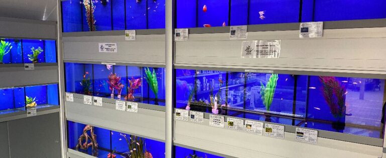 img 0955 1618667443288 1618667595322 768x314