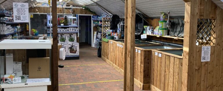 img 1050 1618667111976 1618667166470 768x314