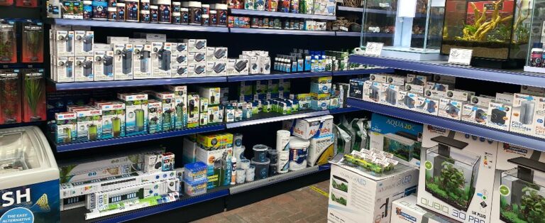 img 1051 2 1618667757595 1618667881464 768x314