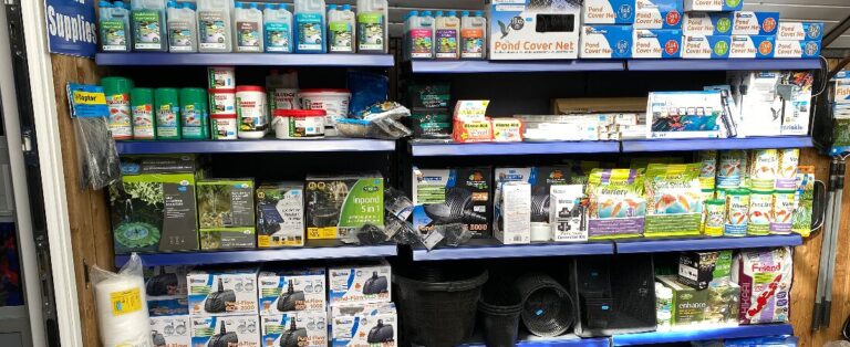 img 1055 1618668378972 1618668431412 768x314