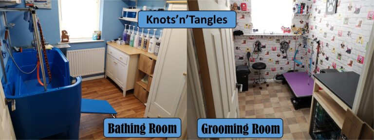 162880408 206432221271240 9081703580753412284 n 1 768x288