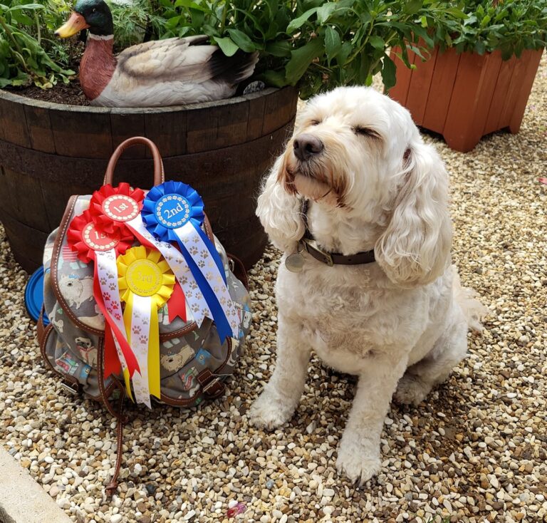 229646565 302059158375212 4716344024484778817 n 768x734