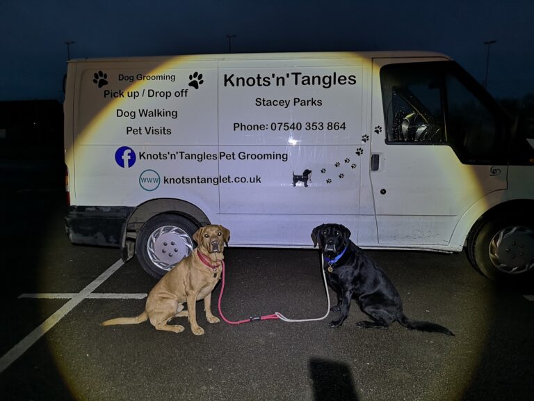 81902064 592374401598541 1007567884186025984 n 768x576