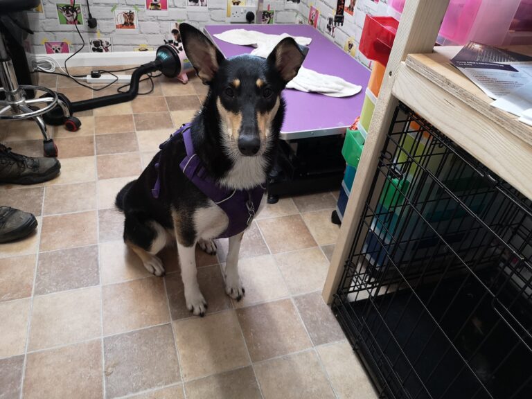 84719515 607943793374935 5561029689566298112 n 768x576