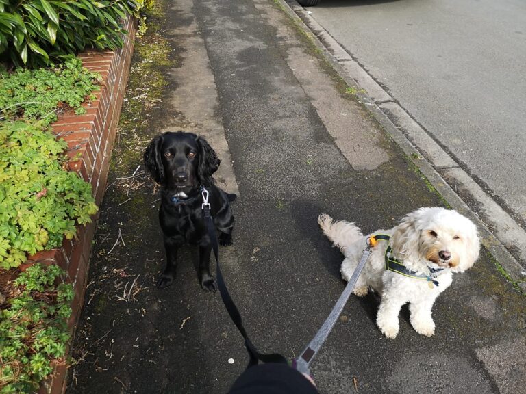 89991056 638493343653313 6624119827168493568 n 768x576