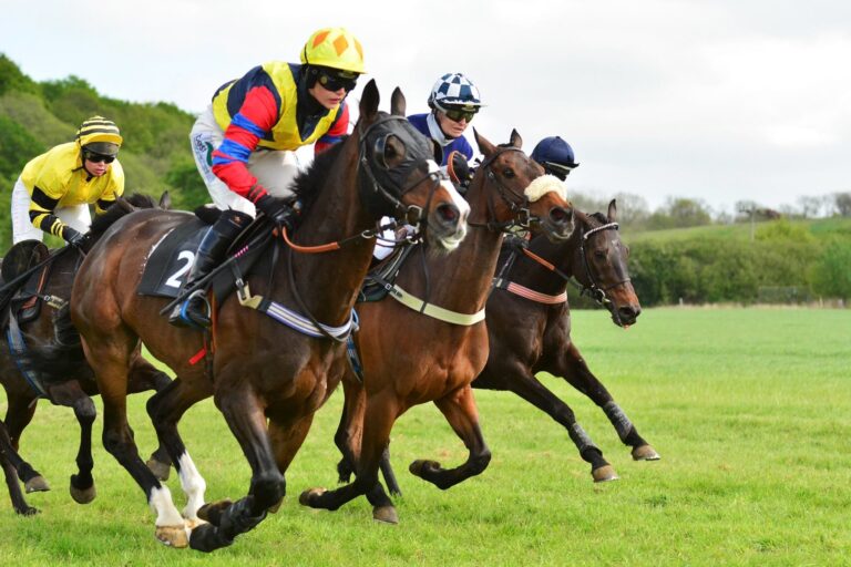 33058162 2150240915016269 1072344469275148288 n 1 1 768x512