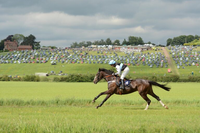 52595465 2682208118486210 4367603787204919296 n 1 768x512