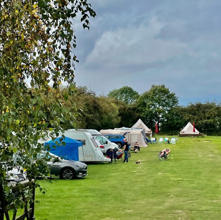 242348761 1542203502806337 2717024384246967924 n 768x767