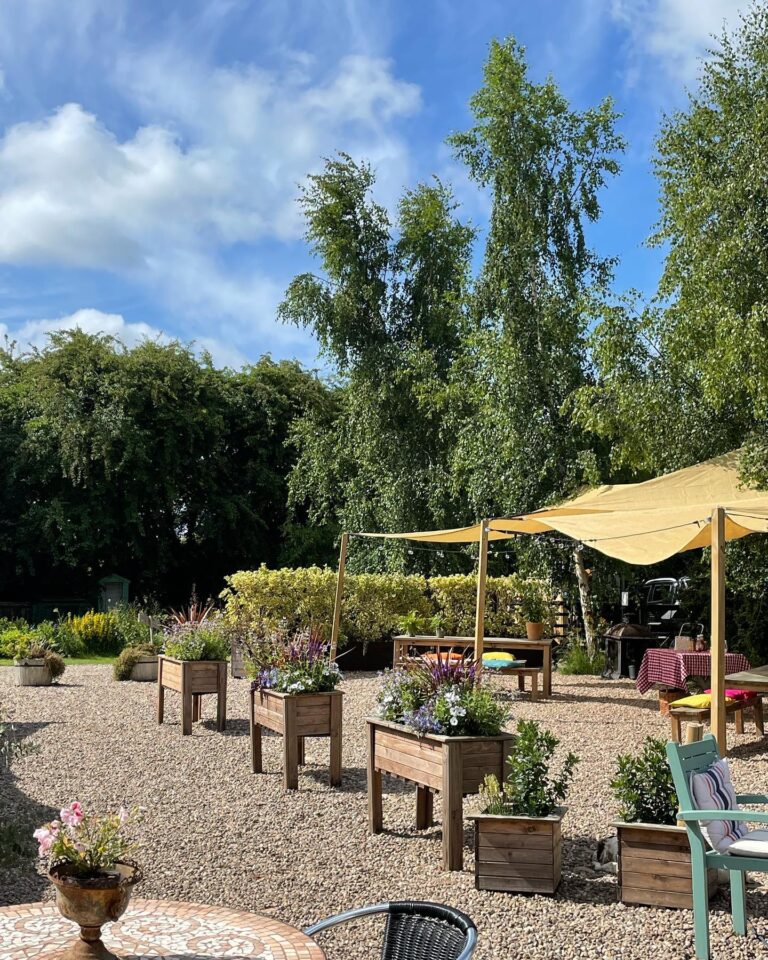 289257659 1734987373527948 8609909018443436245 n 768x960