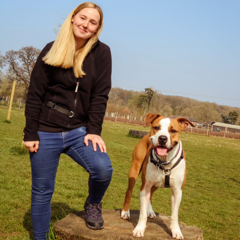 Copy of ED Social Media for Workshop 15 768x768