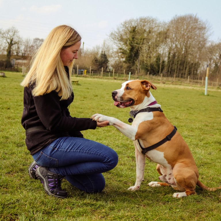 Copy of ED Social Media for Workshop 17 768x768