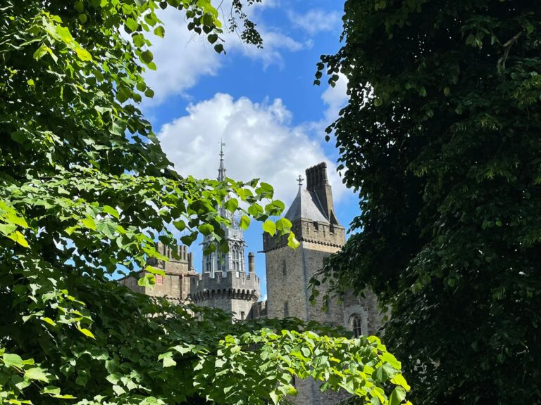 283544492 127327596632455 1796719455196574945 n 768x576