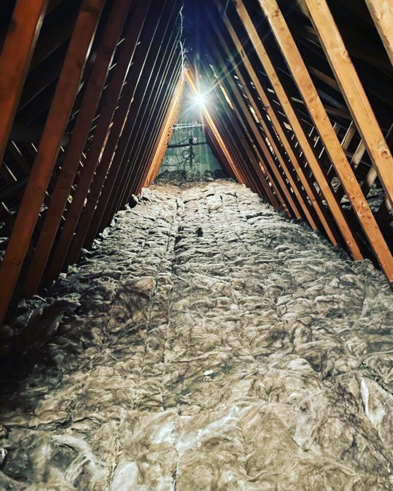 332778339 564666365725126 366649193950165291 n 768x960