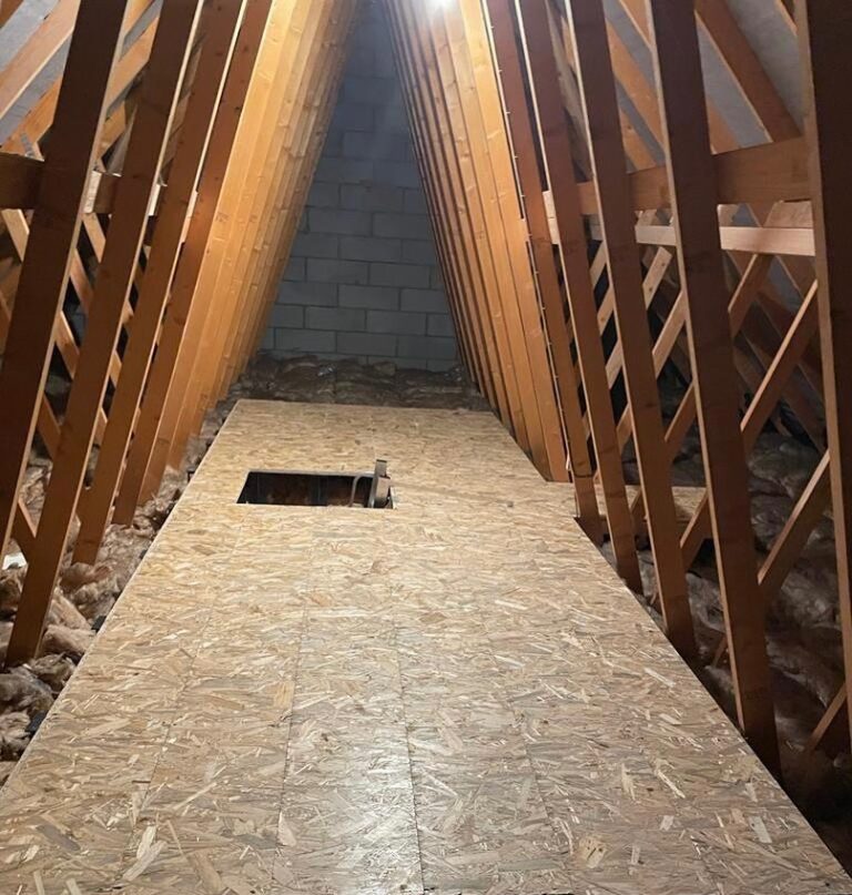 336522093 231443579445915 6961043856107005598 n 768x807