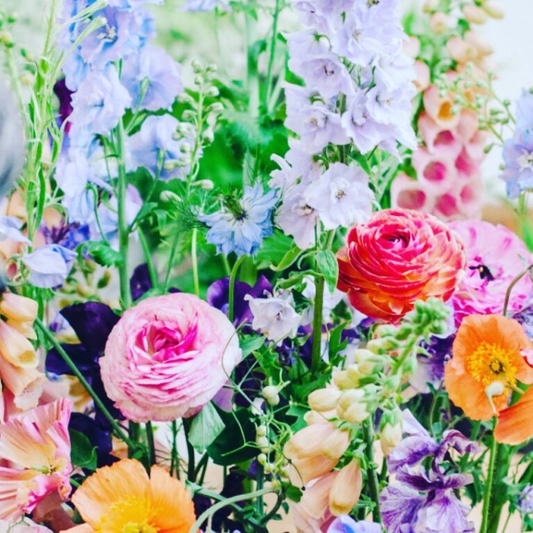 329222090 1358835798294101 7713612705615763764 n 768x768