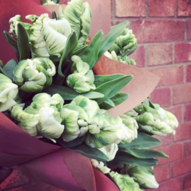 330430541 1236880373850198 7769599137580796971 n 768x768