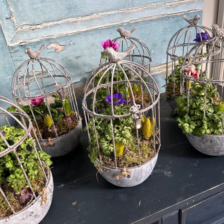 335764609 1298921920691152 3101573964956035130 n 768x768