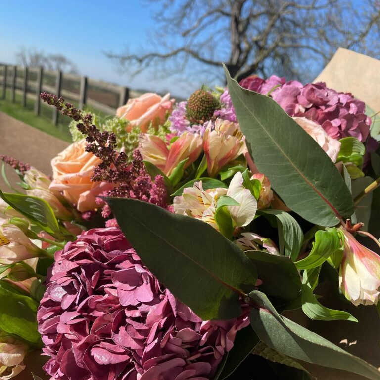 339692079 209809848350354 8287258760962553437 n 768x768