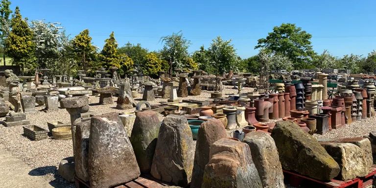 IMG 0448 2 1080x 768x384