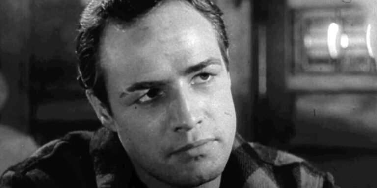 ow1 e1714479669285 1024x512 1 768x384