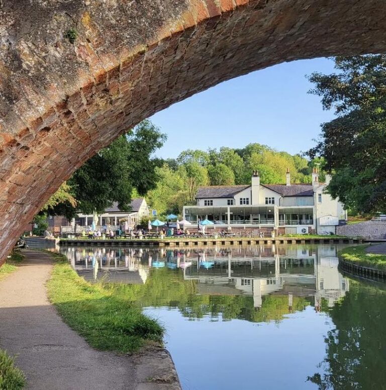 419208491 890258216434239 1241753086223657520 n 768x776