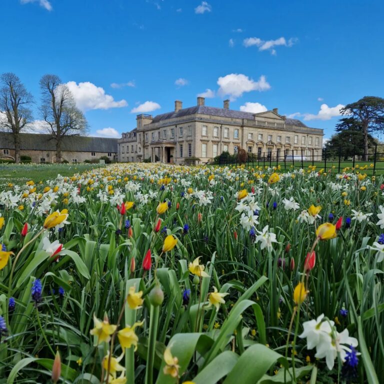 437590057 930626389066153 3225919217016715554 n 768x768