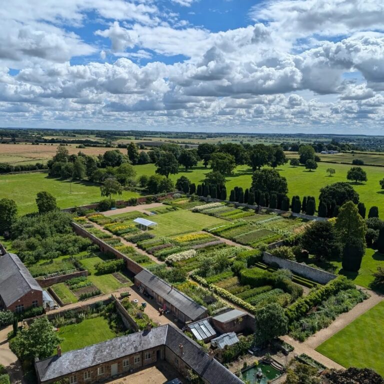 450260314 990422643086527 1312843867858906458 n 768x768