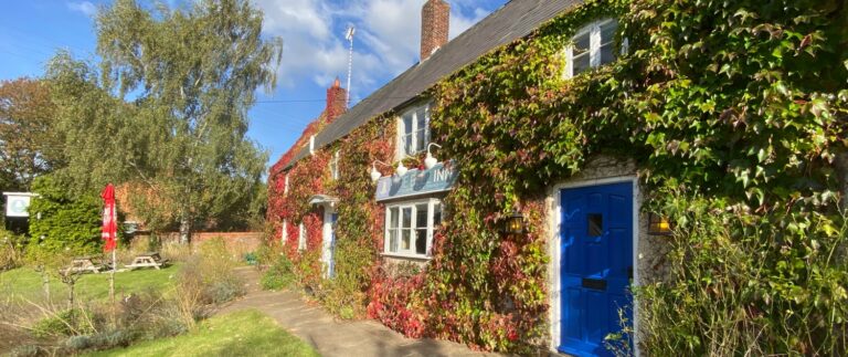 IMG 0302 1500x630 1 768x323