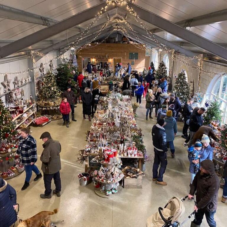 405739219 1126520618505441 2111085873347686217 n 768x768